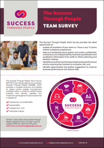 Image of STP Team Survey flyer