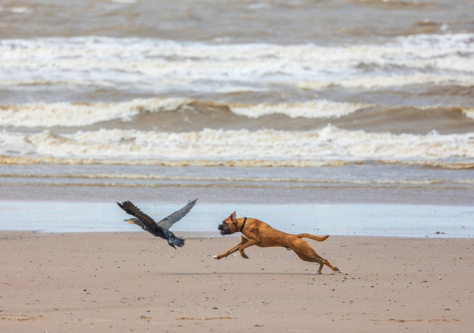 Stop Chasing the Naysayers: Where to Focus Your Energy During Change